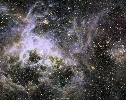 Cosmic Creeply-Crawly Tarantula Nebula